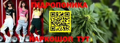 молекула духа Краснокаменск