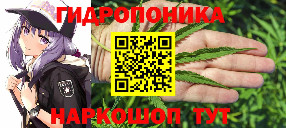 МАРИХУАНА сатива Ирбит